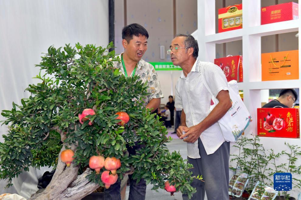 注册送68元现金可提现的游戏
